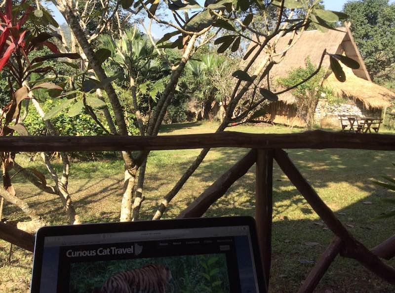 view from my porch (with laptop in forground, plants and another cabin in the photo), Luang Prabang